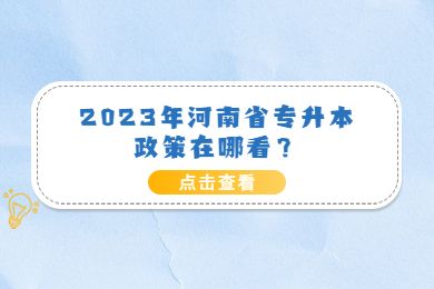 2023年河南省專升本政策在哪看？