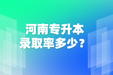 河南專升本錄取率多少？