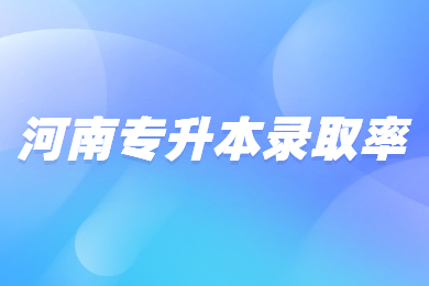 2024年河南專升本錄取率多少？